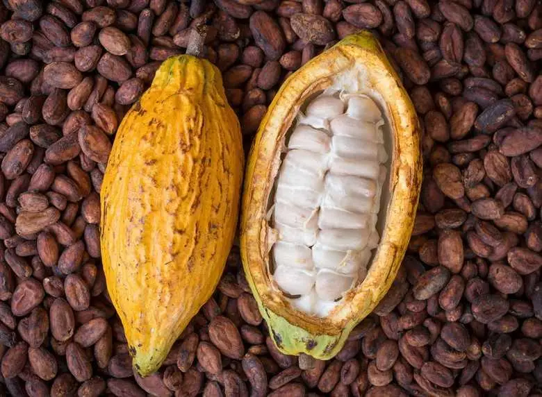 Nibs de Cacao 100% Puro Tostado